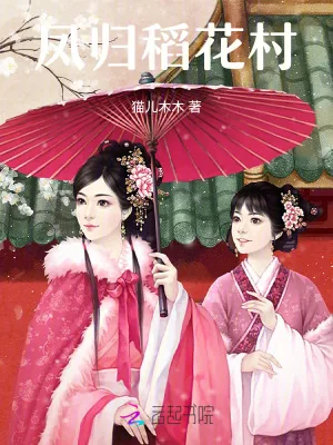 《凤归稻花村》小说封面