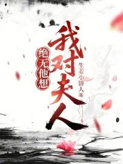 《我对夫人绝无他想》小说封面
