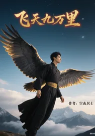 《飞天九万里》小说封面