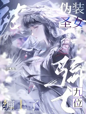 《伪装圣女，被九位骑士缠上了》小说封面
