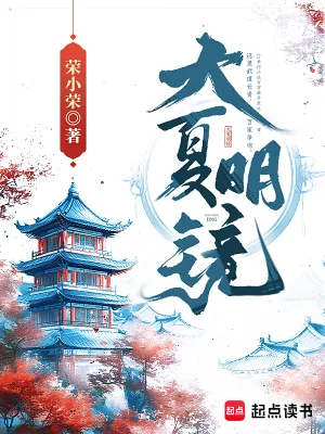 《大夏明镜》小说封面