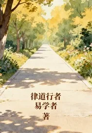 《律道行者》小说封面