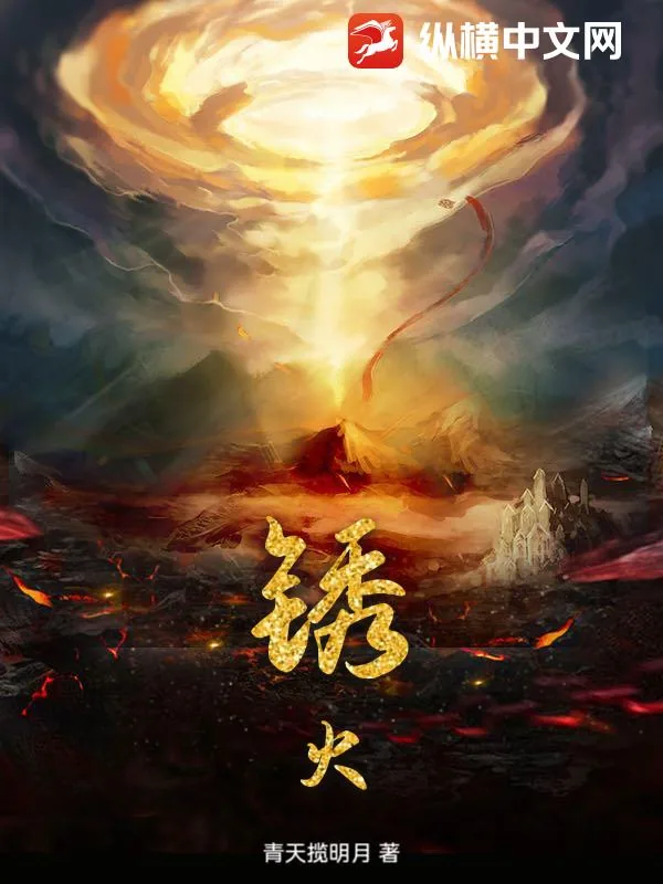 《锈火》小说封面