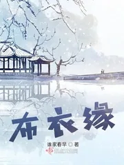 《布衣缘》小说封面