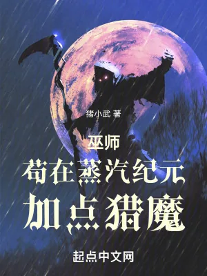 《巫师：苟在蒸汽纪元加点猎魔》小说封面