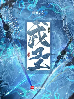 《武圣！》小说封面