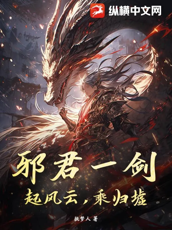 《邪君一剑，起风云，乘归墟》小说封面