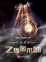 《哈利波特之炼金术师》小说封面