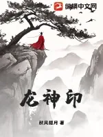 《龙神印》小说封面