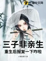 《三子非亲生,重生后报复一下咋啦》小说封面
