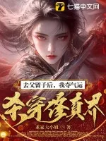 《去父留子后，我夺气运杀穿修真界！》小说封面