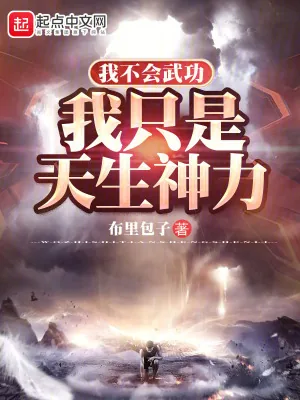 《我不会武功，我只是天生神力》小说封面
