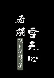 《无限雪之心》小说封面