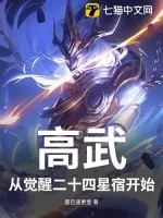 《高武：从觉醒二十四星宿开始》小说封面