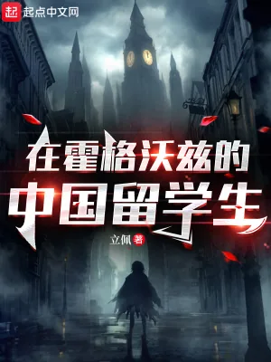 《在霍格沃兹的中国留学生》小说封面