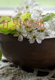 《九天神祇》小说封面