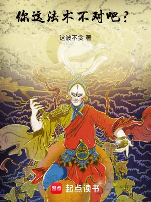 《你这法术不对吧？》小说封面