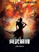《问武巅峰》小说封面