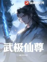 《武极仙尊》小说封面