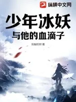 《少年冰妖与他的血滴子》小说封面