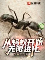 《从蚂蚁开始无限进化》小说封面