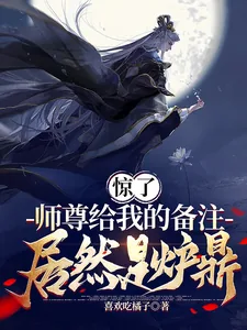 《惊了，师尊给我的备注居然是炉鼎》小说封面