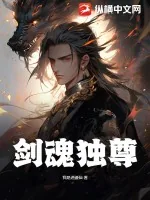 《剑魂独尊》小说封面