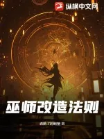 《巫师改造法则》小说封面