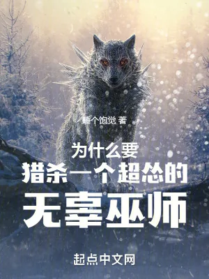 《为什么要猎杀一个超怂的无辜巫师》小说封面