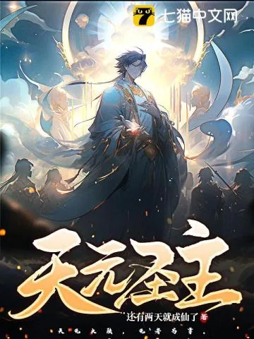 《天元圣主》小说封面