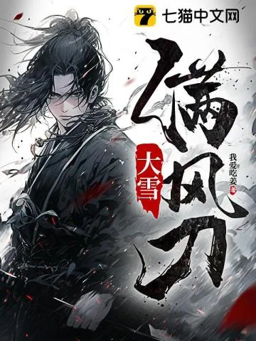 《大雪满风刀》小说封面