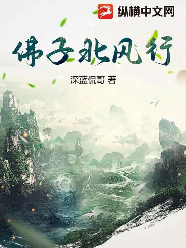 《佛子北风行》小说封面