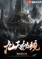 《九天秘境》小说封面