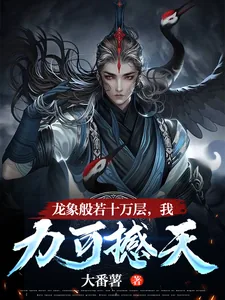 《龙象般若十万层，我力可撼天》小说封面