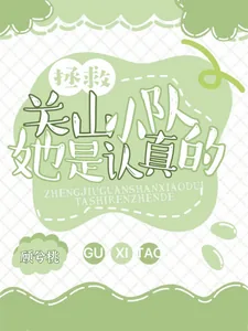 《拯救关山小队，她是认真的》小说封面