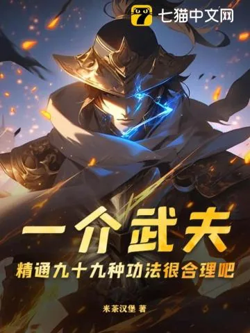 《一介武夫，精通九十九种功法很合理吧》小说封面