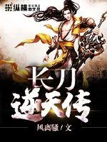 《长刀逆天传》小说封面