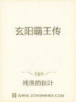 《玄阳霸王传》小说封面