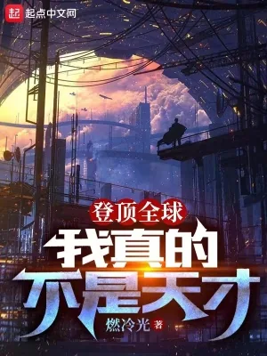《登顶全球：我真的不是天才》小说封面