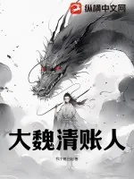 《大魏清账人》小说封面