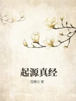 《起源真经》小说封面