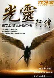 《光灵行传》小说封面