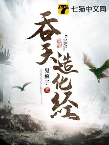 《吞天造化经》小说封面