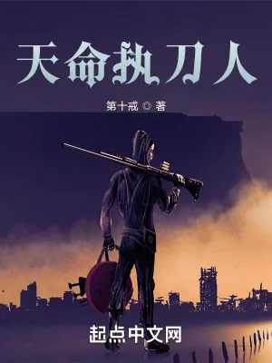 《天命执刀人》小说封面
