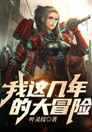 《我这几年的大冒险》小说封面