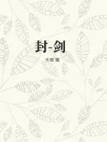《封-剑》小说封面