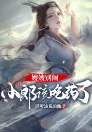 《嫂嫂别闹，小郎该吃药了》小说封面