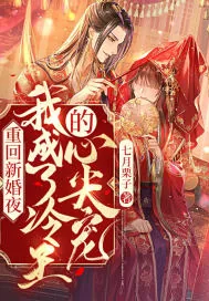 《重回新婚夜，我成了冷王的心尖宠》小说封面