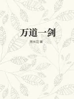 《万道一剑》小说封面