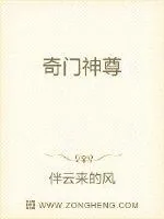 《奇门圣尊》小说封面